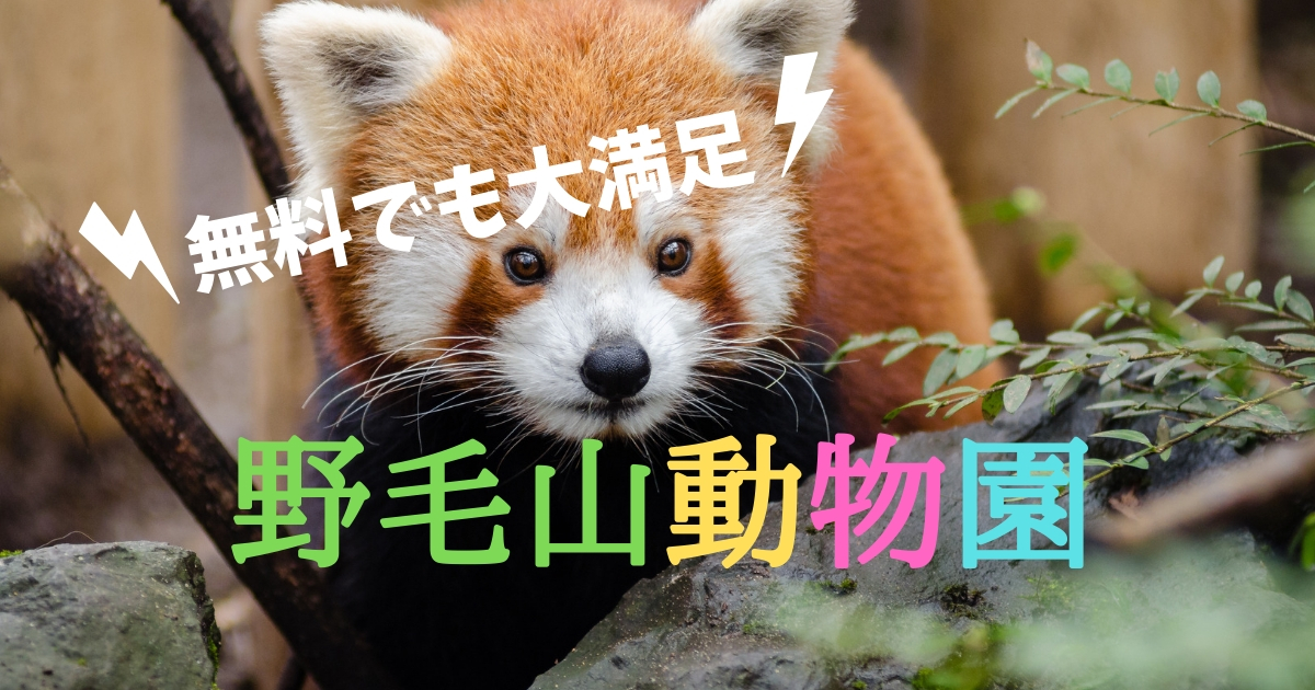 野毛山動物園は無料でも大満足 平日とgwの混雑具合 追記あり